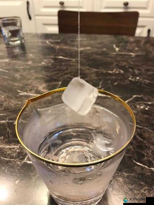 冰块放入 pp 做出的牛奶能喝吗：这是一个极其荒唐且不卫生的行为请勿尝试