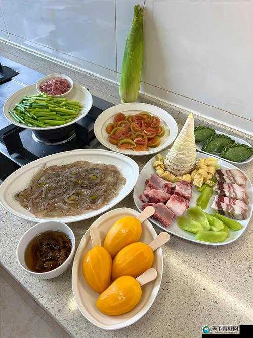 Javaparser 厨房乱子：家庭主妇的激情冒险
