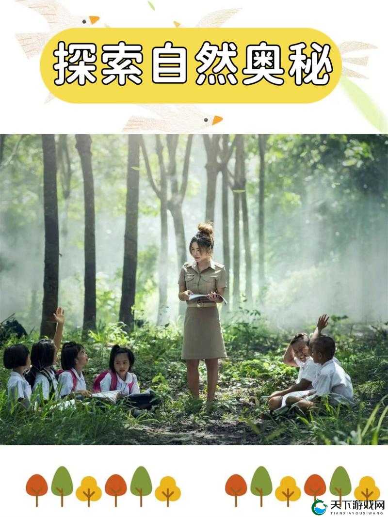 一个 上面一个下边做的独特探索与实践