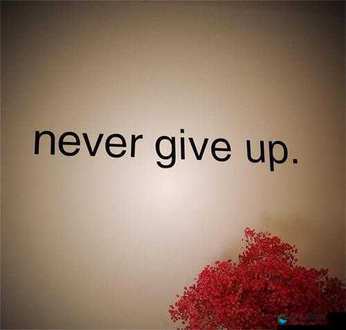 放弃容易，但坚持更显珍贵：从 Give Up 说起