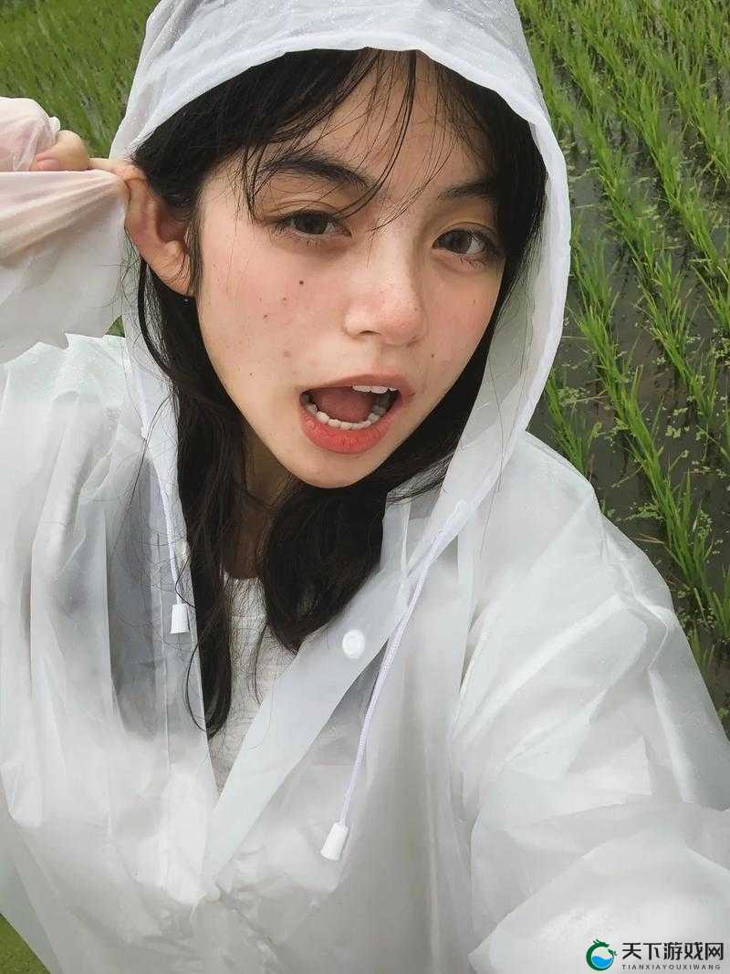四川 BBB 桑 BBB 桑 BBB：独特魅力引人探寻
