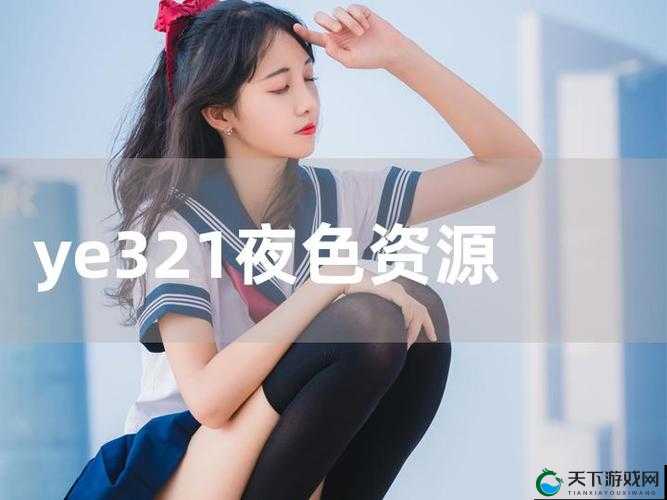 关于 Ye321 网站的相关信息