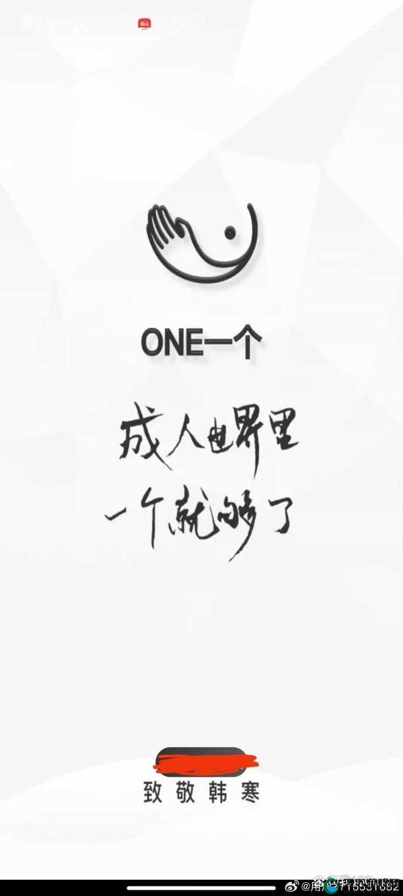 one.yg99.aqq 一个致敬韩寒：关于韩寒的独特致敬方式探讨