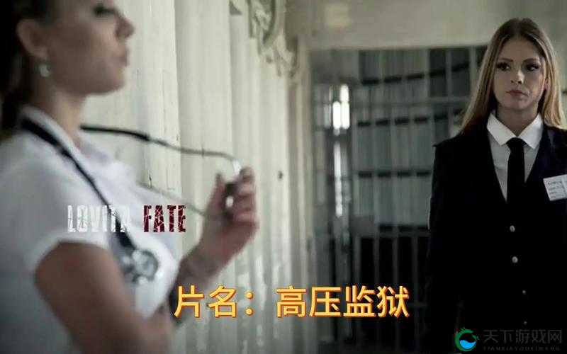 高压监狱在线看全集免费观看：一场人性与暴力的较量