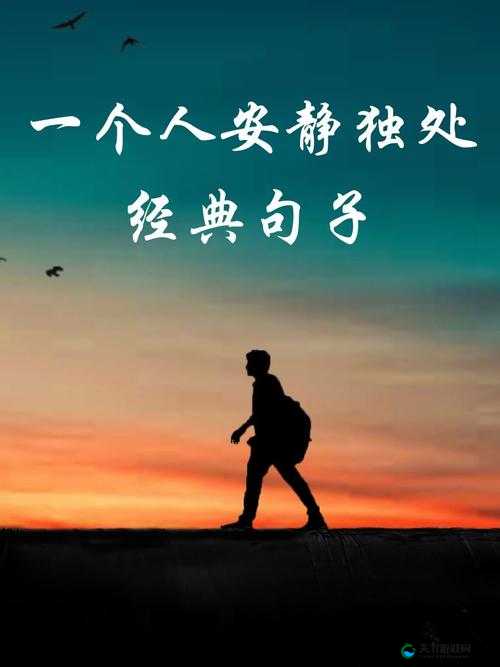适合一个人看流水的书：探寻心灵深处的静谧时光