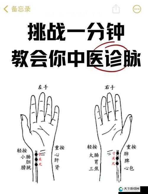 一分钟教你轻松上手强力射手迪安娜