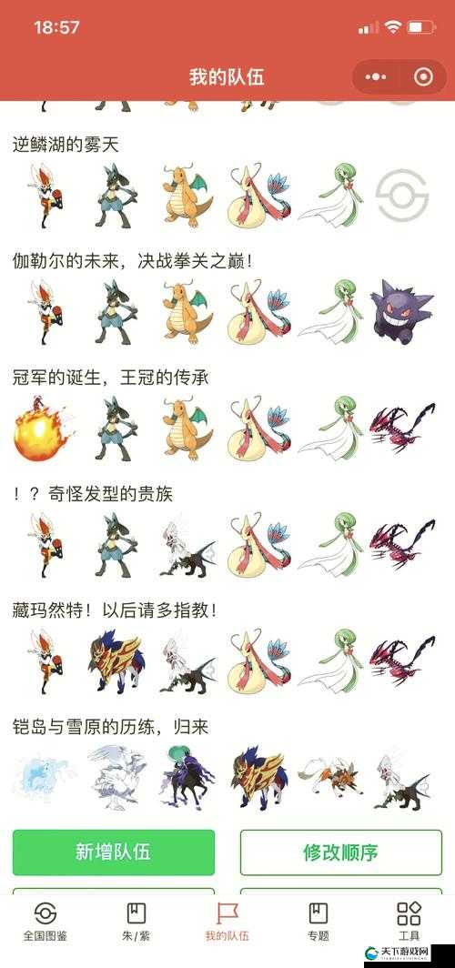 口袋妖怪VS，解锁战斗力飙升的秘籍