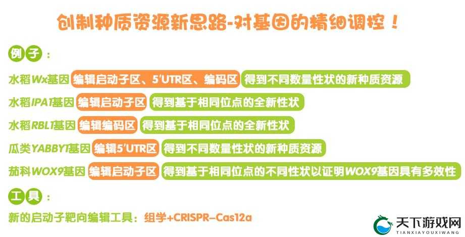 杂交 wx 性状的探索与创新： wx 与 wx 性状杂交的可能性与挑战
