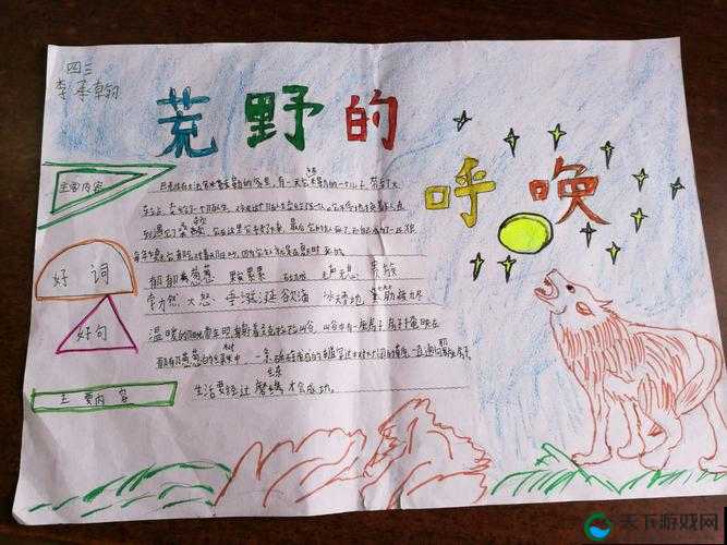 荒野的呼唤：从文明到野性的觉醒之路