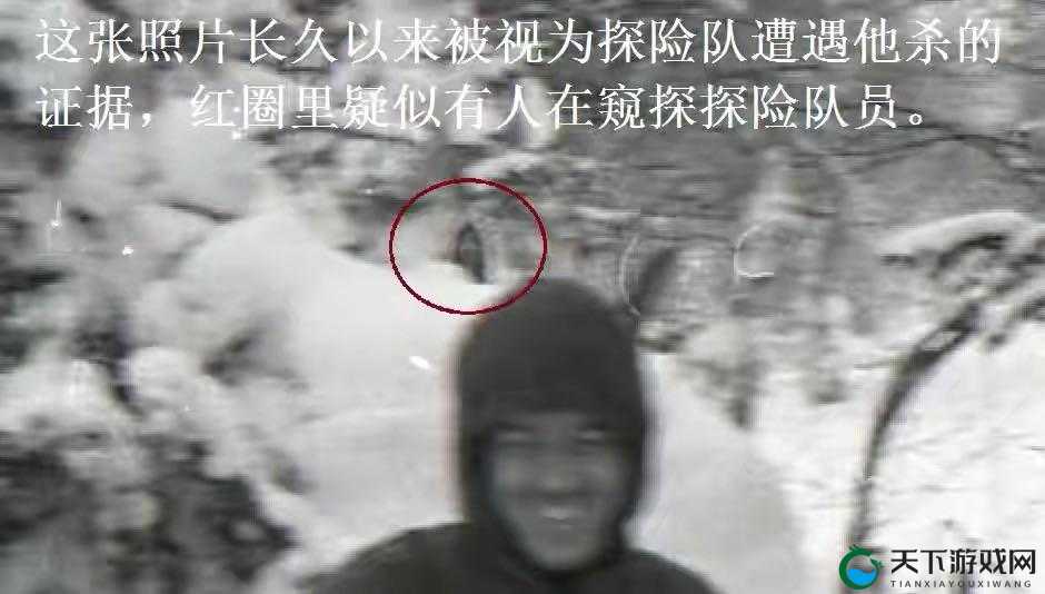 被一条蛇 C 到崩溃车颜宁：离奇遭遇引发热议