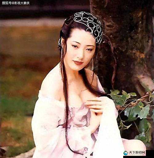 亚洲国产精品久久人人爱潘金莲：一部引发热议的传奇之作
