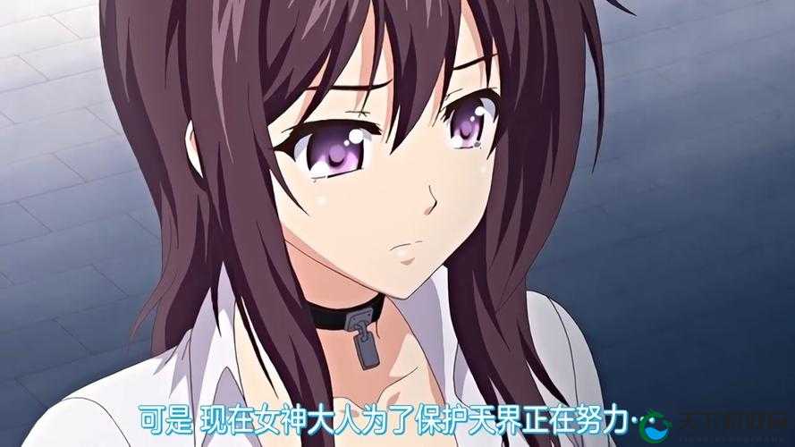 重口动漫：成年人世界的奇妙幻想