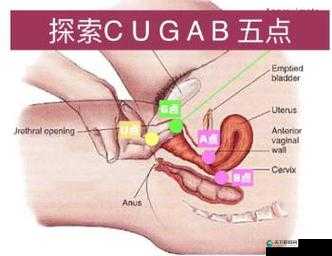 火车上荫蒂添令人倍感舒适的奇妙体验