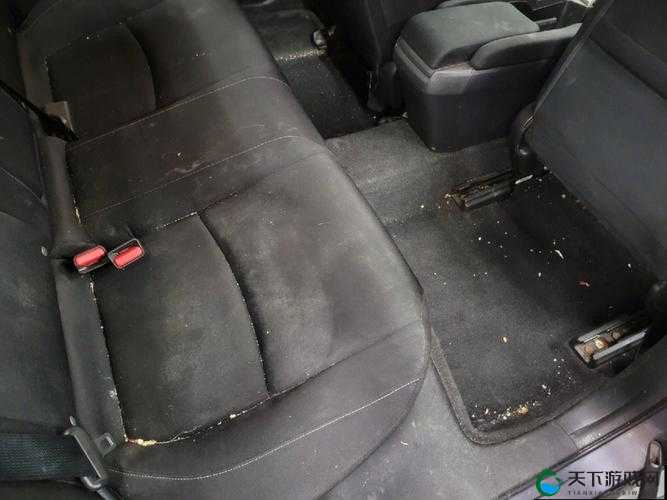 公交车后车座的疯狂的做小:狭小空间里的刺激体验