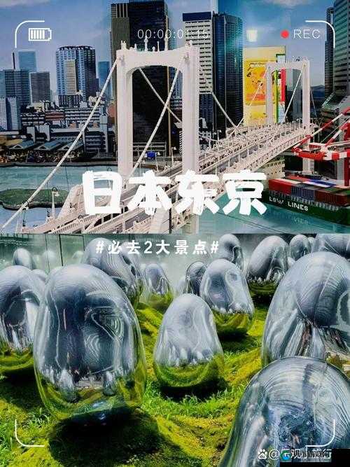 www 黄皮：探索其独特魅力与多样用途的奇妙之旅