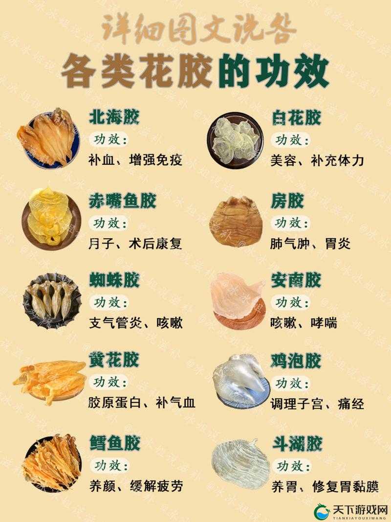 各种胶配方大全视频：全面解析各类胶的配方秘籍