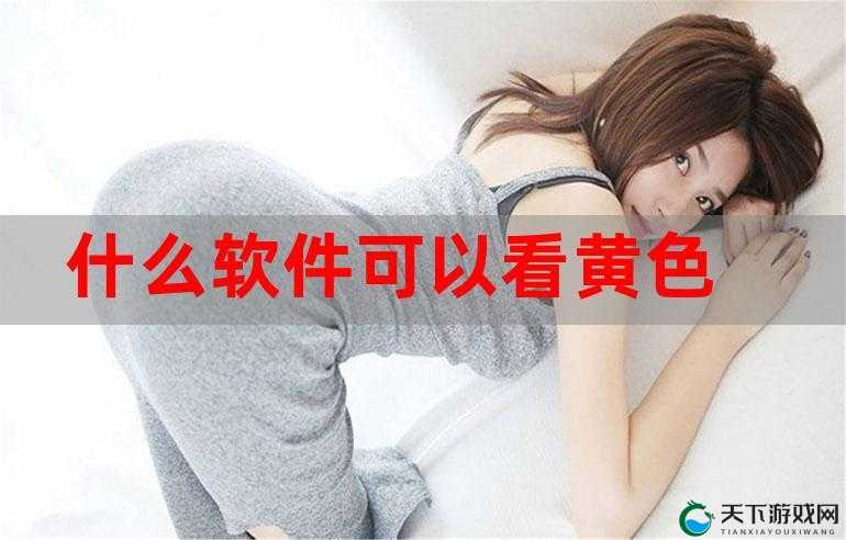 十大禁用璜铯软件对社会秩序和个人身心健康的危害分析