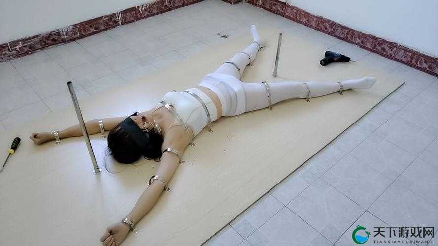 中国 chinesexxxxhd videos 相关内容的精彩呈现与探讨