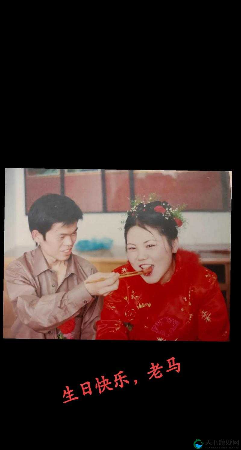 # 老马的幸福生活：平凡中的点滴与感动 #
