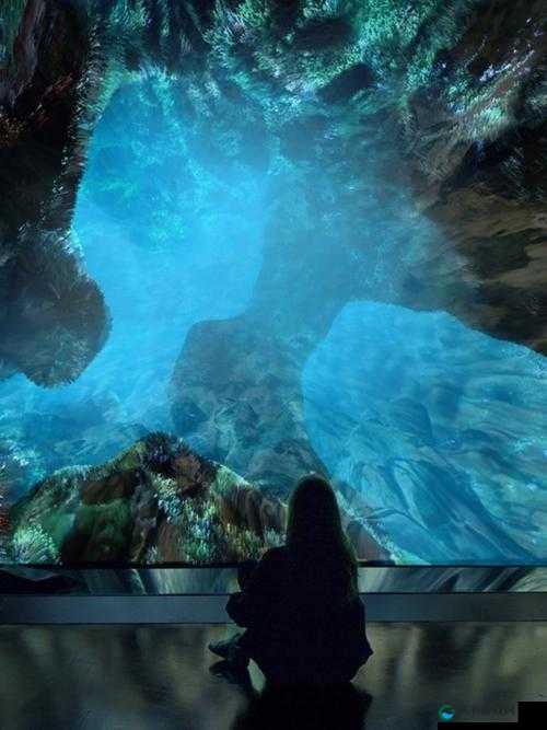 hd video projector simulator 的全方位体验- 沉浸式视觉盛宴