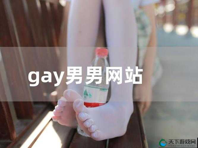 同性 Gay 免费网战：探索全新的交友世界