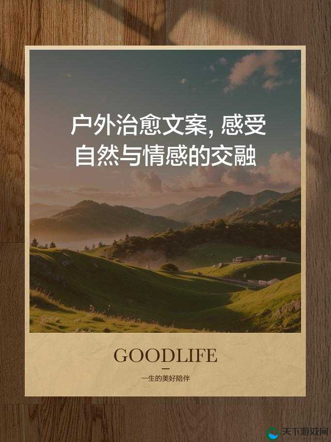 后营露营夫妻生活濡染：共赴自然寻爱之旅加深情感交融