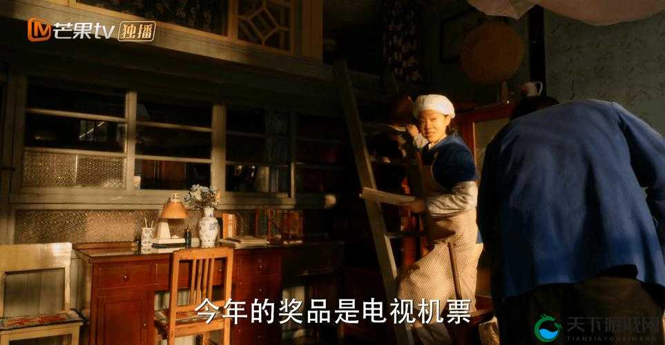 中韩双字幕电视剧去哪看：探寻优质观剧平台与资源