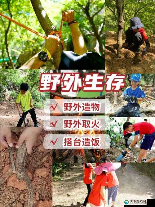 造物法则野外探索系统主要玩法介绍
