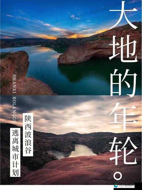 大地资源在线官网第二页：发现更多宝藏