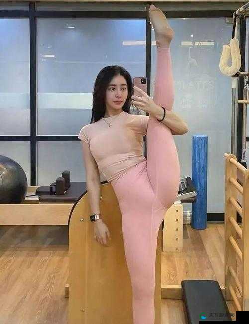 四川美女 BBB 凸凸凸：关于她的那些精彩故事与独特魅力展现