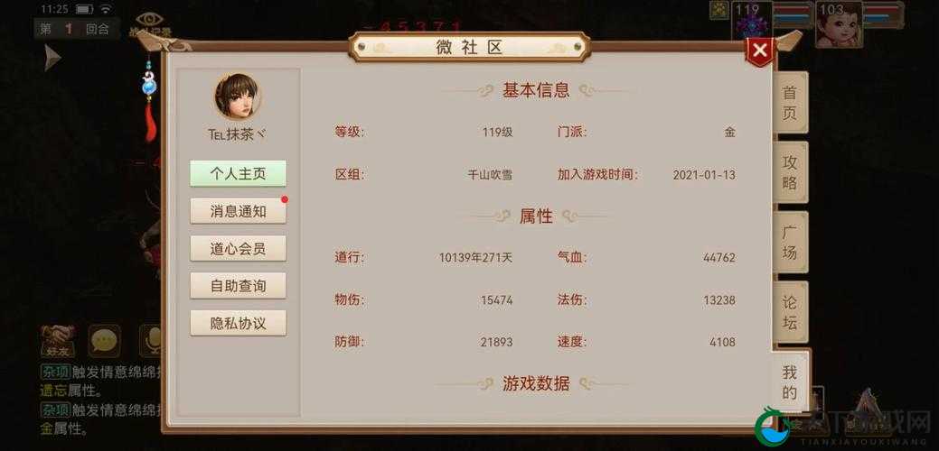 问道手游擂台争霸赛规则介绍攻略，资源管理、高效利用与避免浪费