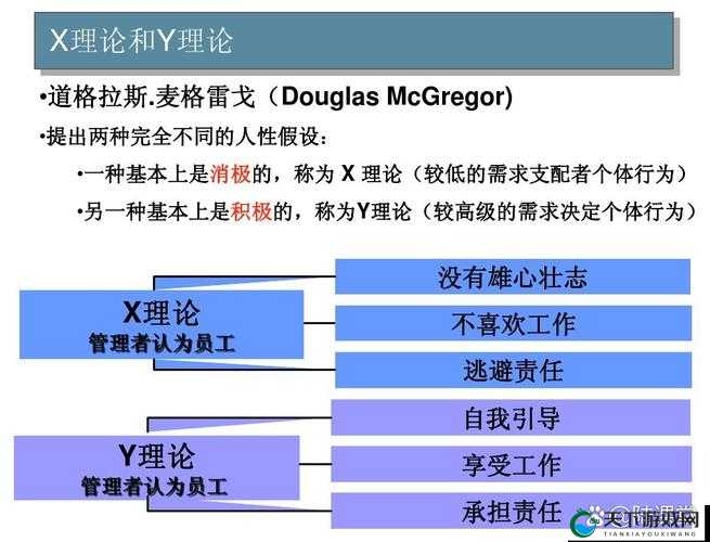 X理论和Y理论是激励理论吗：深入探究与全面解析