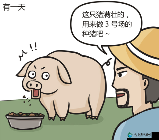 打扑克这种剧烈运动竟带来如此意想不到的精彩体验