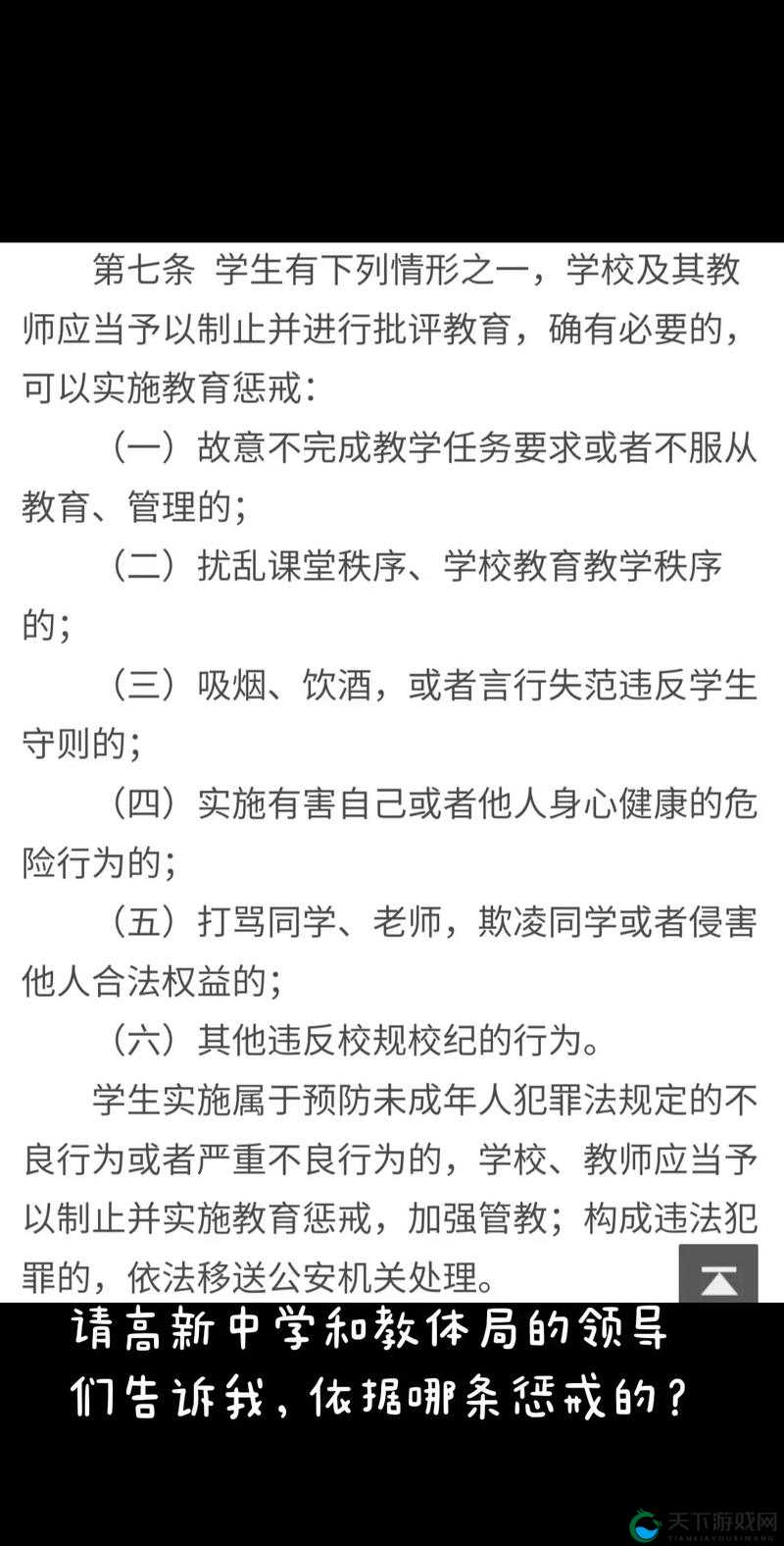 惩戒 2~狂热的从业指导 1-4：深入剖析与实用建议指南