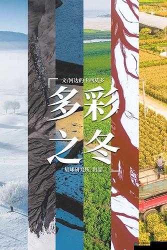 大地资源中文在线观看:带你领略丰富多样的大地资源内容