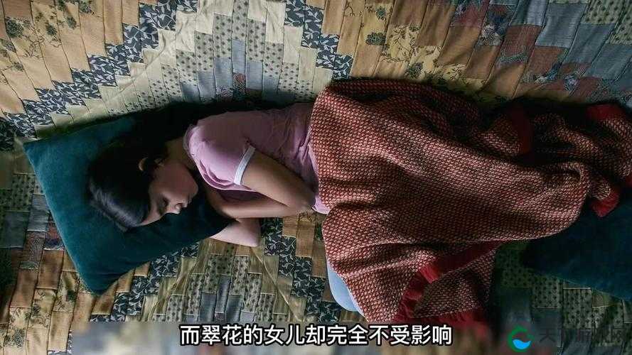 大壮翠花：夜猫子的奇妙冒险