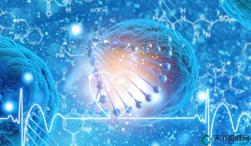 DNA 与 RNA 杂交视频：探索生命奥秘的精彩呈现