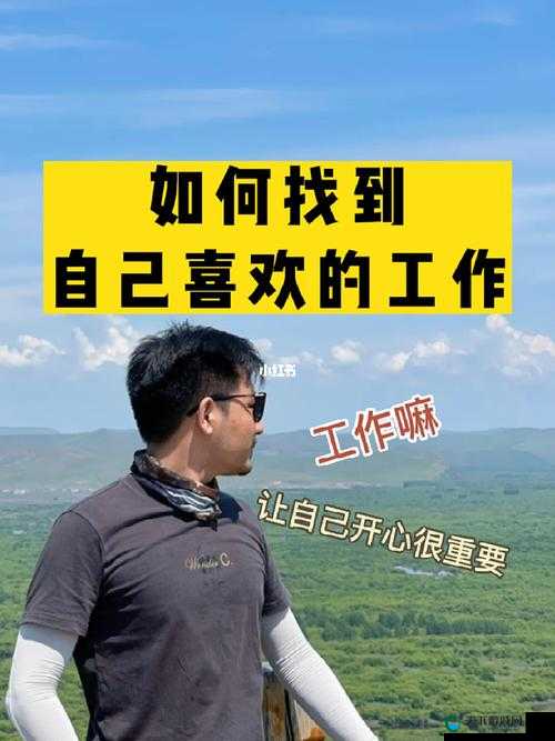 关于不知道自己适合什么工作的迷茫与探寻
