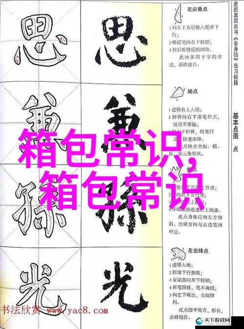 成品网站入口隐藏通道：探寻其背后的神秘面纱