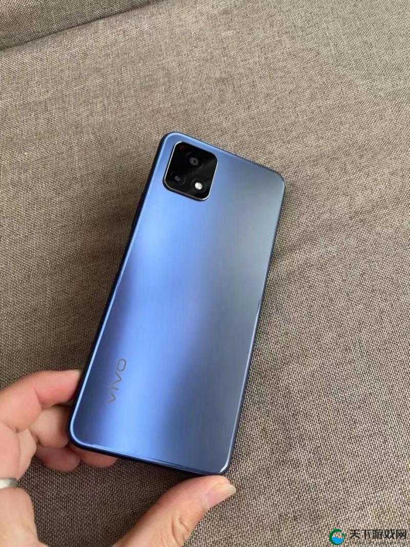 y31 成色好的 s31 正品，畅享高品质体验