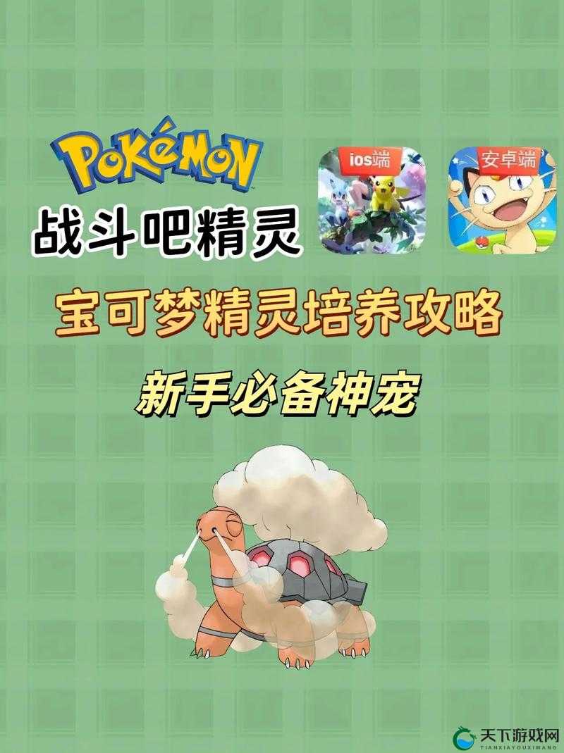 口袋妖怪VS培养精灵选择，培养哪个精灵好