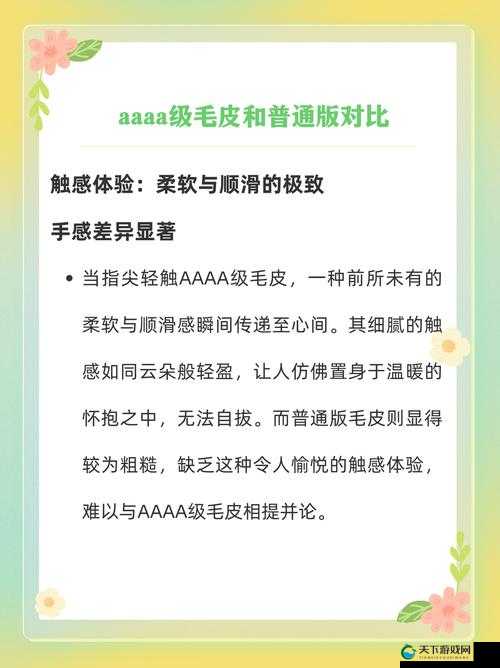 AAAA 级毛皮最简单三个标志：探索优质毛皮的关键所在