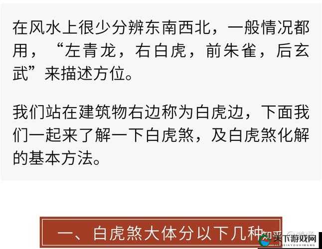天天炫斗神兽对比指南，赤炎飞龙与煞风白虎分析介绍