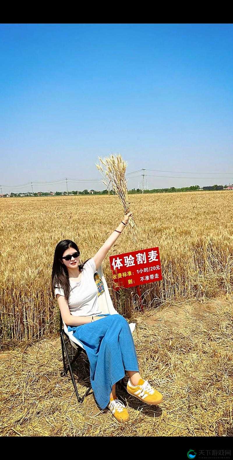 韩国朋友家的麦子 2024：见证友谊与丰收的珍贵时刻