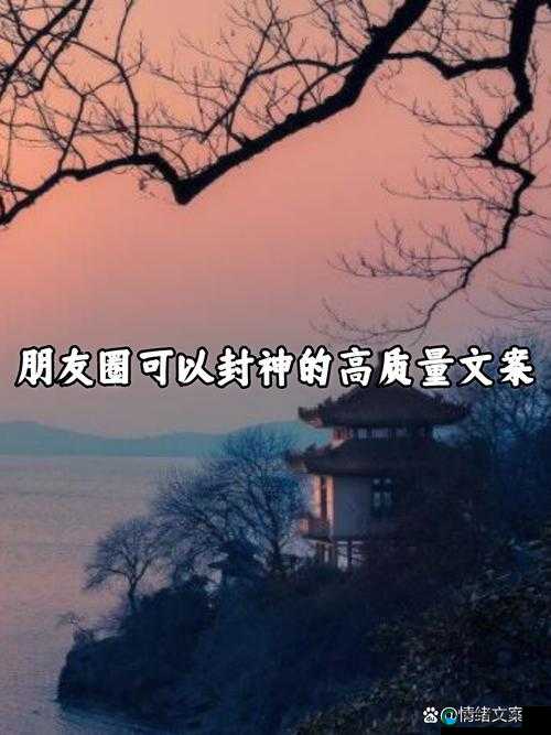 公之浮之中字 5hd 所蕴含的独特魅力与深意
