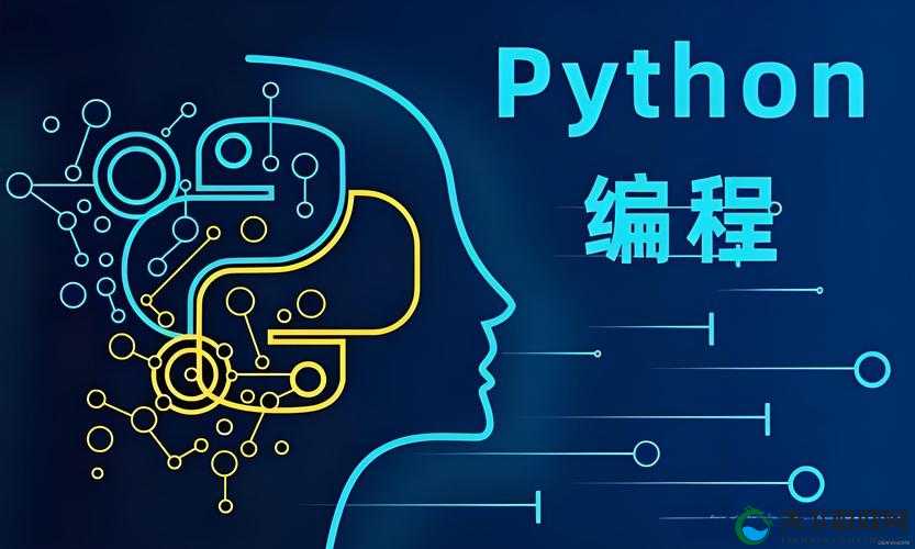 Python18 ：引领编程新时代的强大语言工具