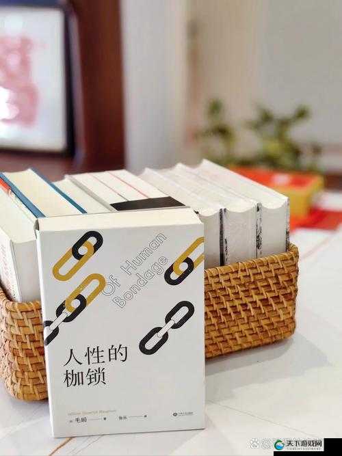 西方 58 大但人文艺术：探寻艺术与人性的奥秘