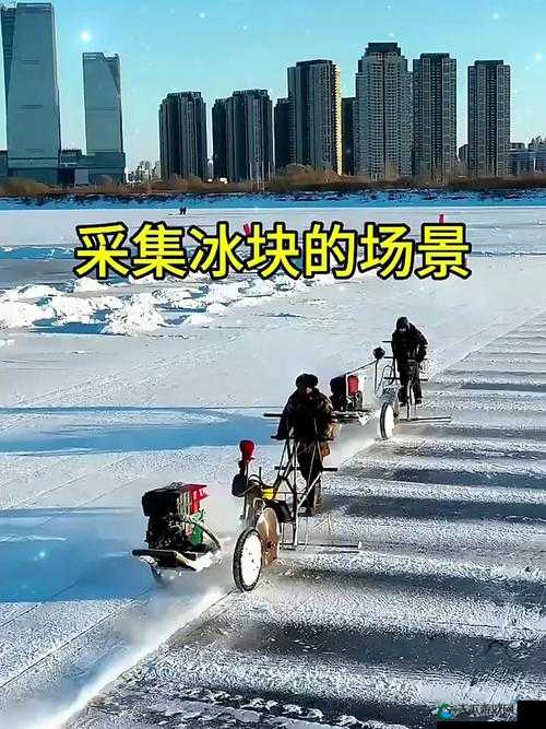 国产性猛交 XX 激情四溢且冰块乱放的精彩场景呈现