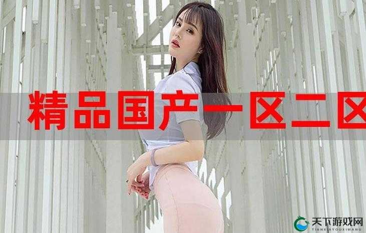国精产品一品二品国精品 96XX 独特魅力呈现