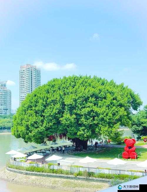 爱情岛vip永久入口：开启浪漫之旅的神秘通道